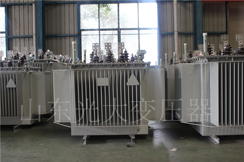 藁城S20-500KVA/10KV